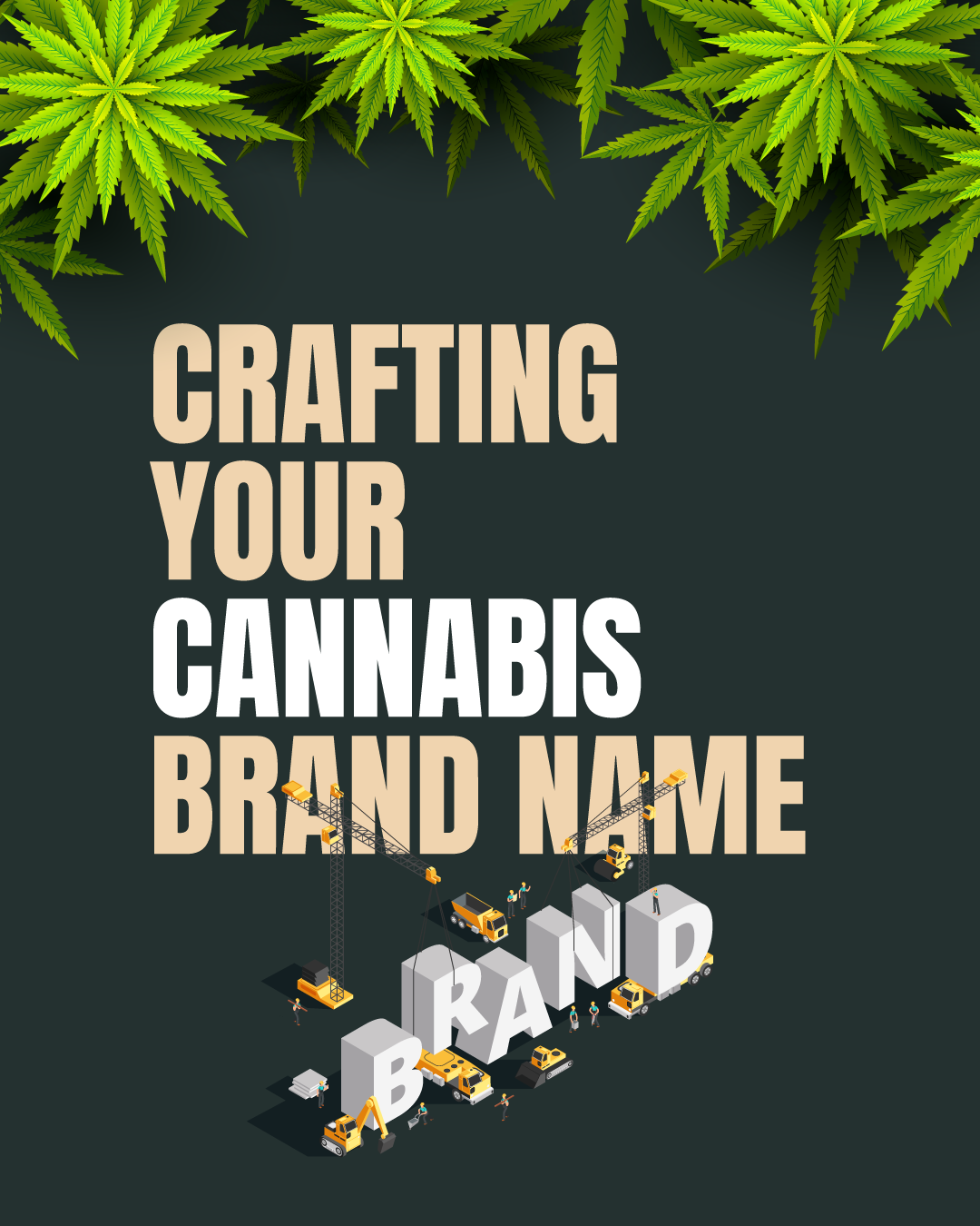 Crafting Your Cannabis Brand Name: 8 Expert Tips from a Branding Pro